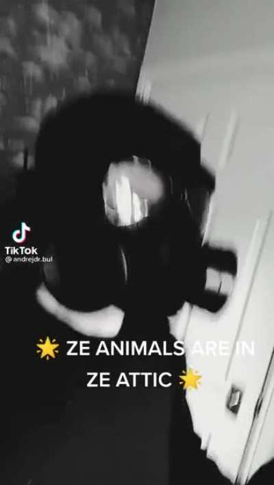 If your not vegan