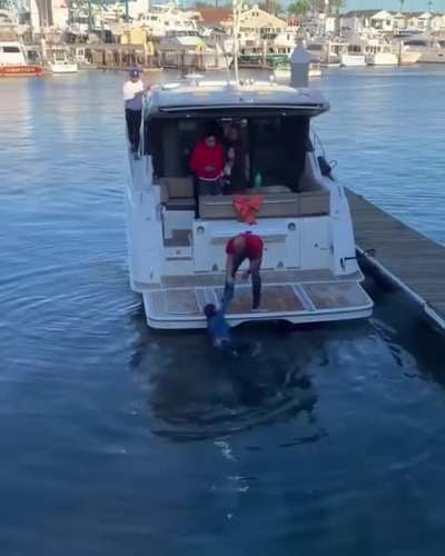 Not the best choice of footwear for a boat, either.