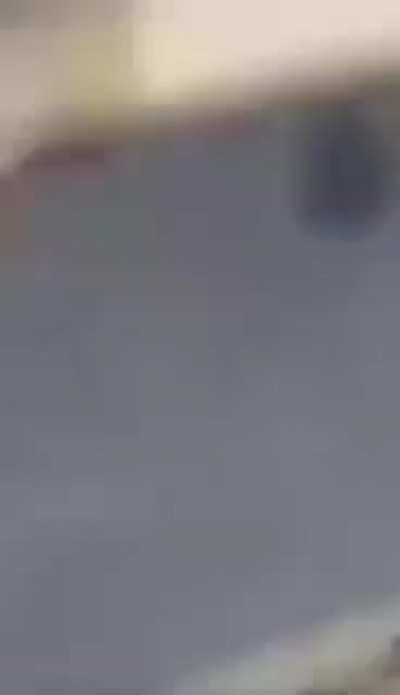 To pet a dog