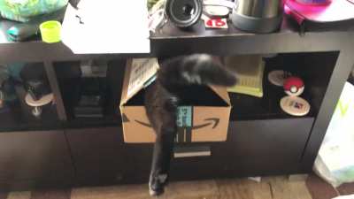 Just cuz you put the box there doesn&rsquo;t mean I can&rsquo;t get in it