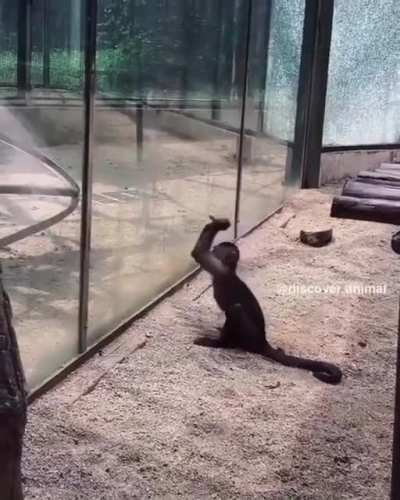 Evolution
