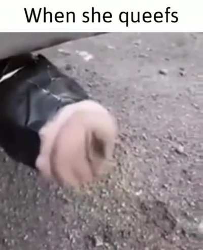 What that exhaust do?