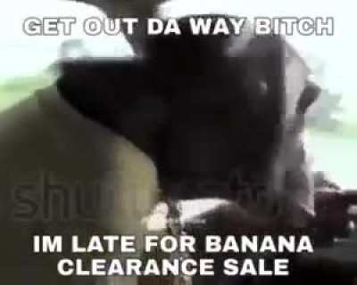 Based monke ?
