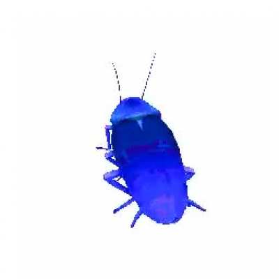 Hello Bröthers