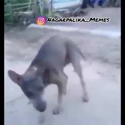 rello - Video #5499