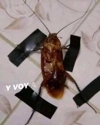 😳