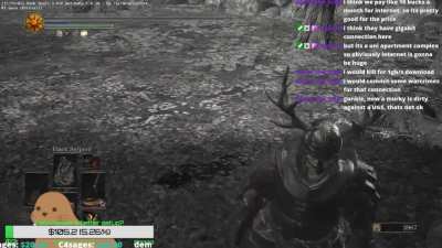 Dark Souls Streamer Forgets About Fall Damage