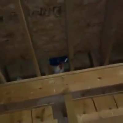 Um v&iacute;deo fofo para o Renan