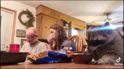 Eating just like us!