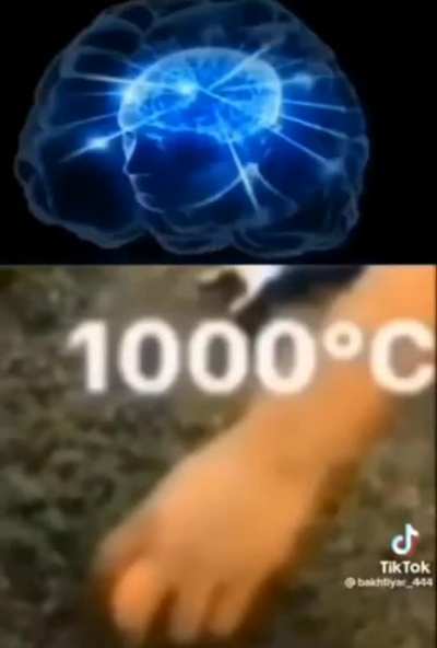 1000&deg;C STEEL BALL CHALLENGE!!!