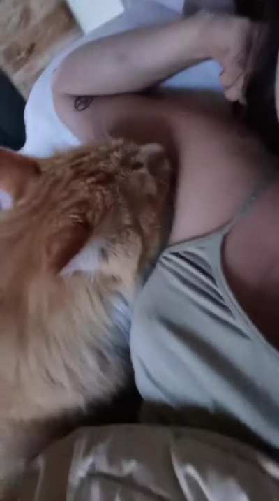 is this normal orange behavior?