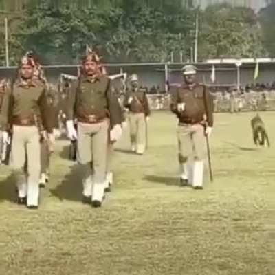 Monkey vs Police