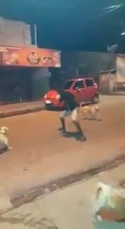 SON K&Ouml;PEK B&Uuml;K&Uuml;C&Uuml;