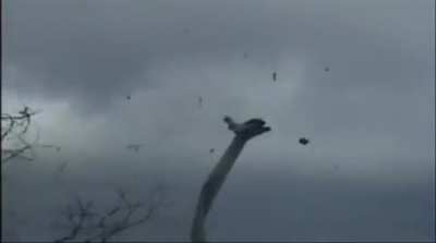 Windmill destructed in storm
