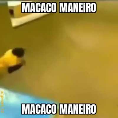 M A C A C O