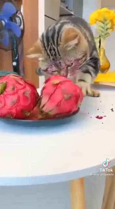 те которые пиздят всё и у всех