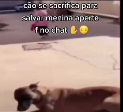 press F galera
