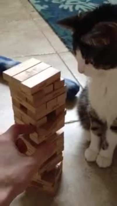 Game night