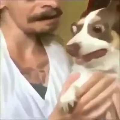 "I got this on camera" (dunno if its a repost or nor, sorry)