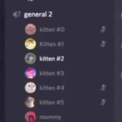 He out here