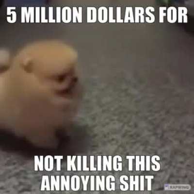 Can you do it 😨😨😨😨