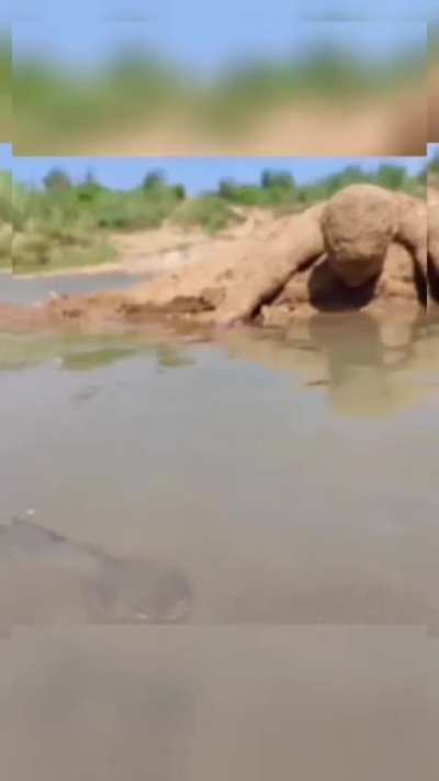 How this man catches fish