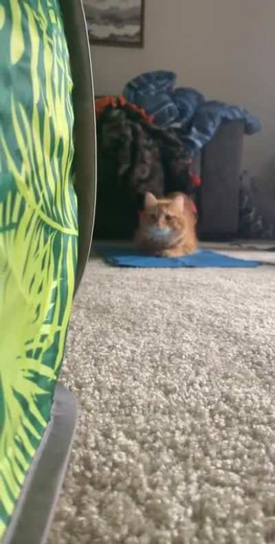 Attack boi