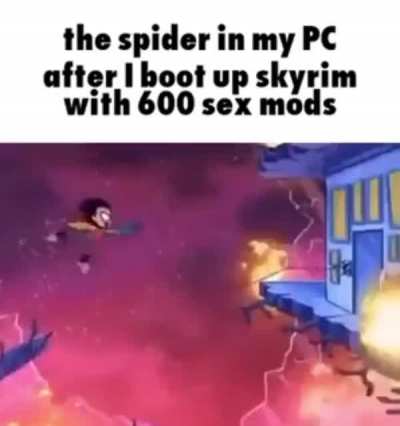 Spider
