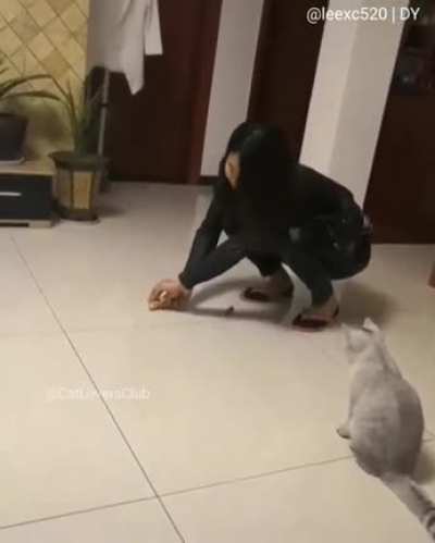Look at that jump