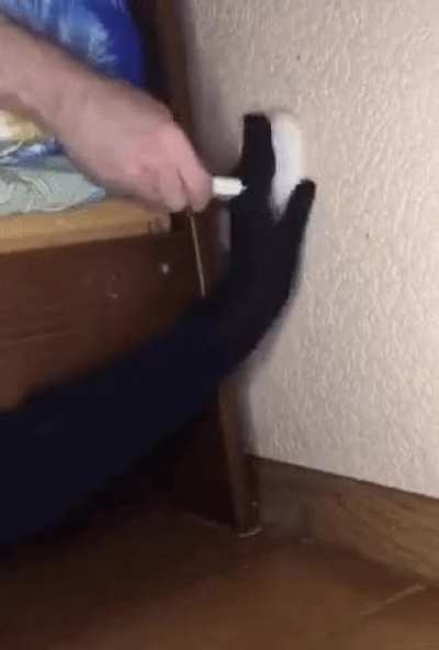 [void hand]