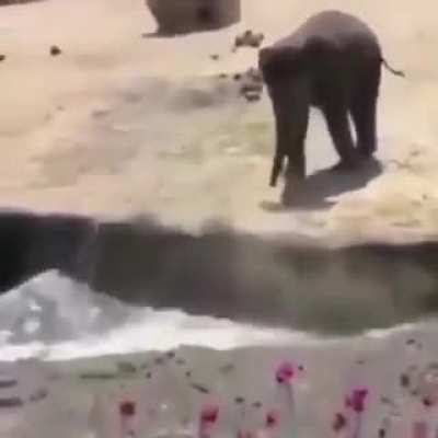 Go swim swim.