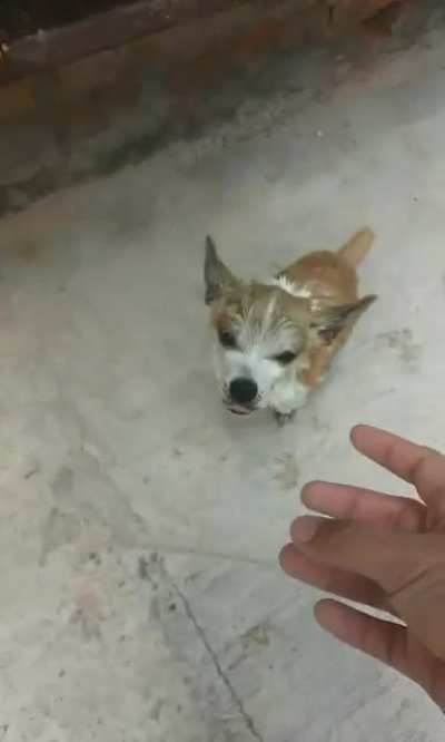 Betrayal