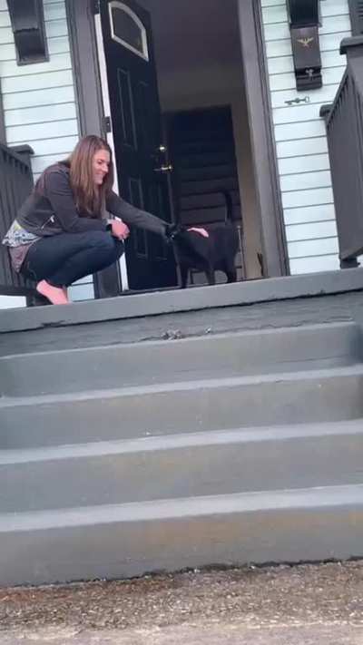Not my cat but with humans [OC]