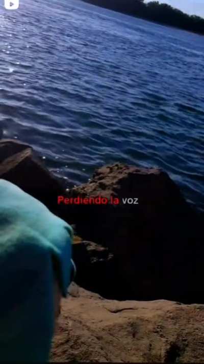 Vuela alto