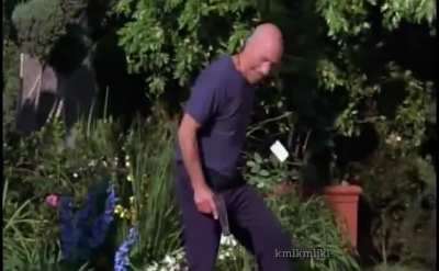 My Goddamn Lilies!