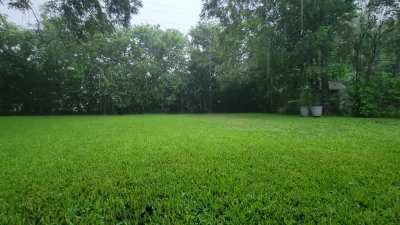 A peaceful moment from my back yard