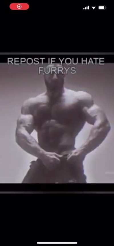 Furrys🤮🤢🤮🤢🤡🤡🤡🤮🤮🤮🤮🤮