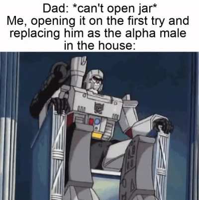 new alpha male in the house