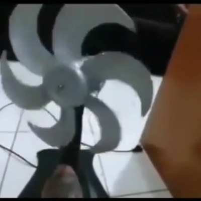 Como procede?