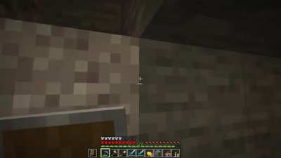 Minecraft Hardcore...