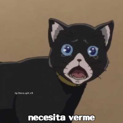 simp cat