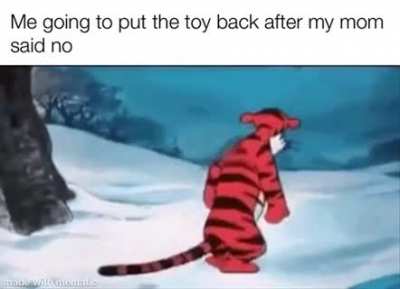 But mom I really want the lego death star!