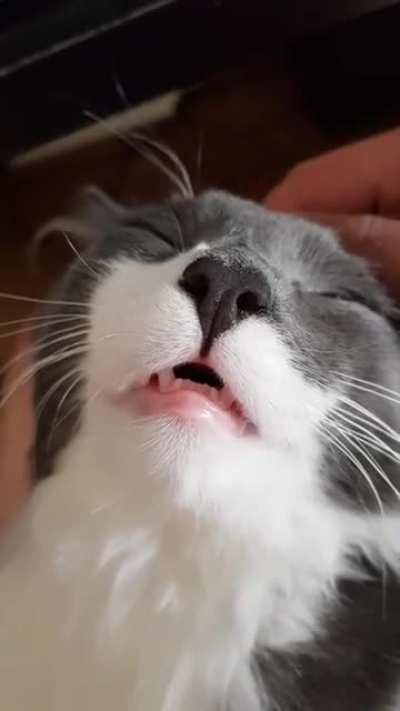Tough life