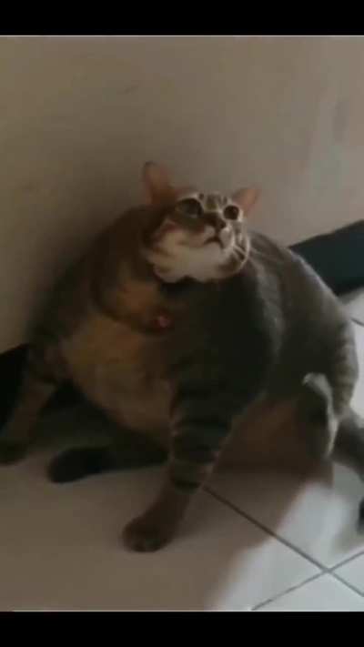 :(