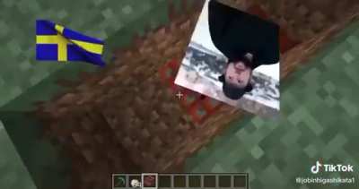 &Aring;terpost fr&aring;n krinsh tiktok😳