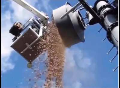 150 Kilograms Of Acorns Stored By A Squirrel In A Transmitting Antenna