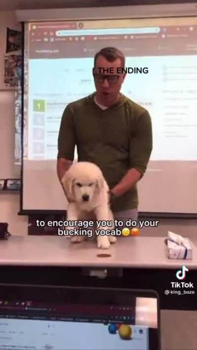 Buck the vocab mascot