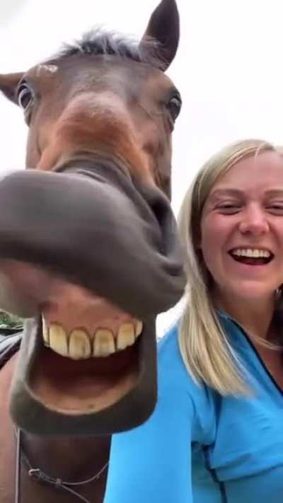 Horsing around....
