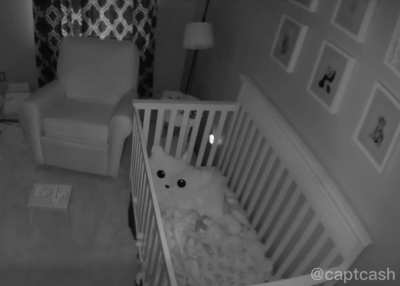 The optimal use of a Ring cam. Sound on. (OC)