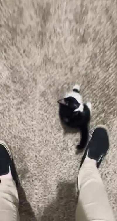 someone opened a door &amp;amp; startled the peanut